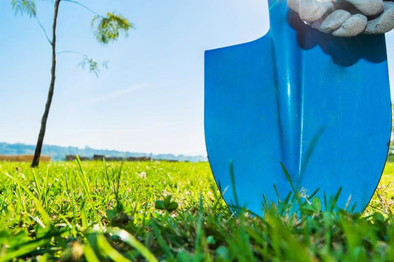 A shovel and gloves with a tree in the background