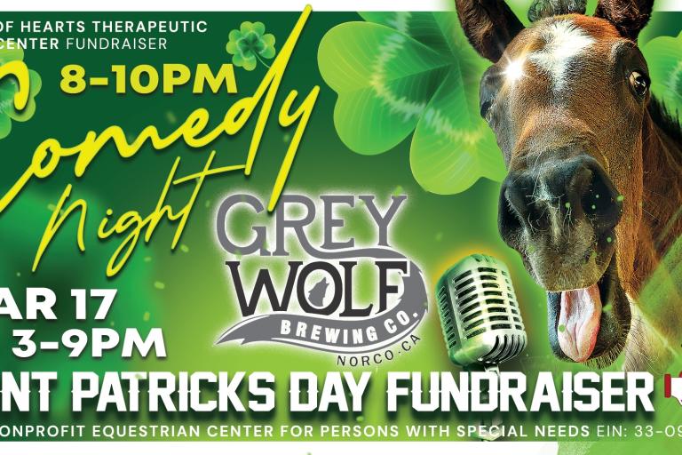 Saint Patrick's Day Fundraiser