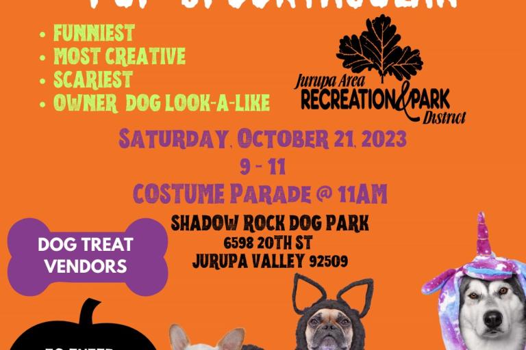 Dog Costume Contest