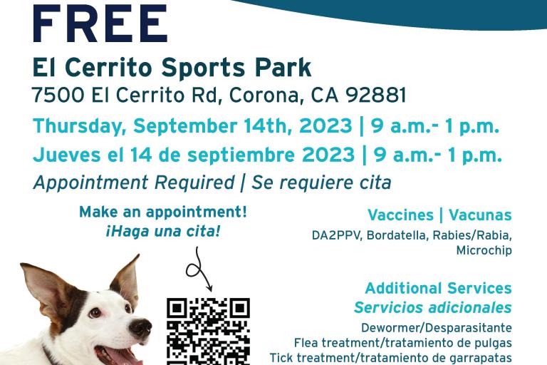 FREE Wellness Clinic