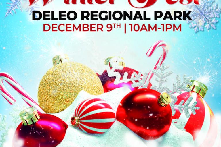 Winter Fest Deleo Park