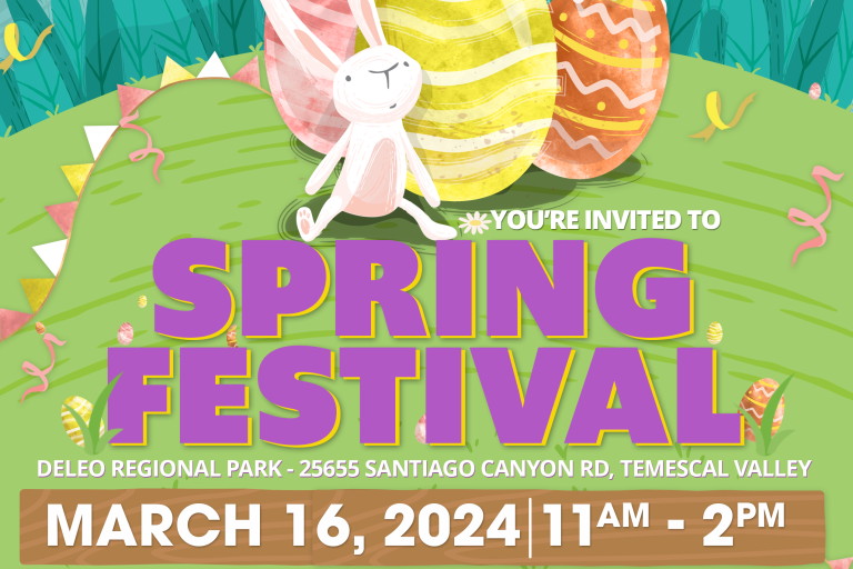 Spring Festival Deleo Park