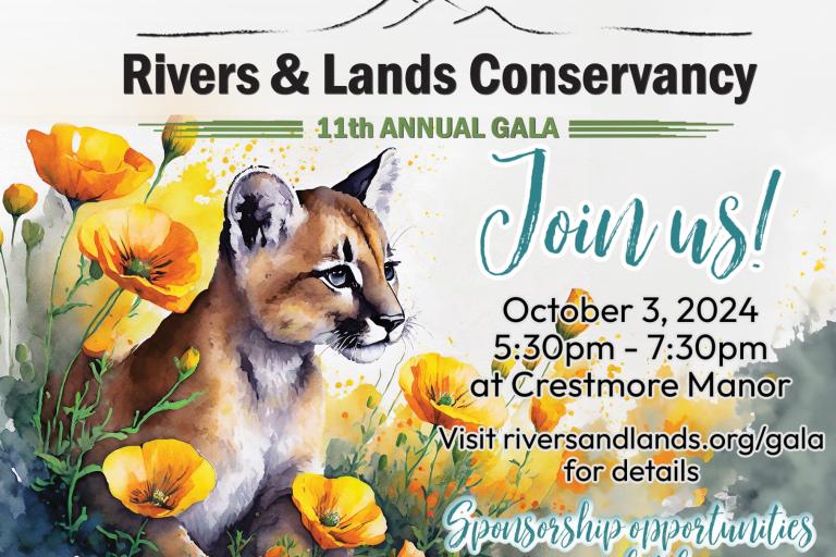 11th Annual Gala