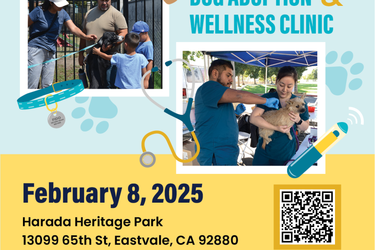 Adoption and Wellness Event
