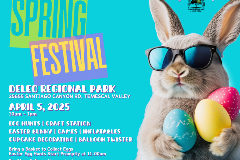 Spring Festival Deleo Park