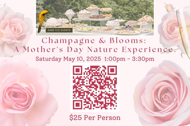 Champagne and Blooms