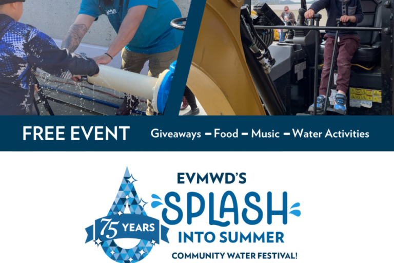 Splash Into Summer