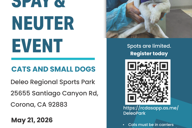 TV Spay Neuter
