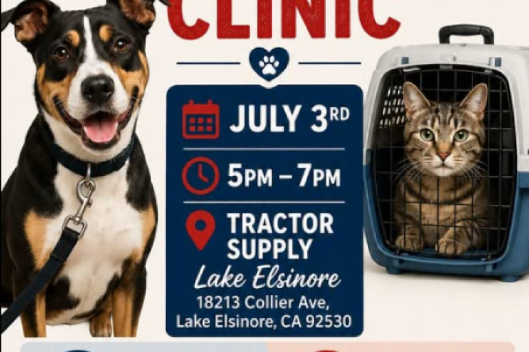 Lake Elsinore Free microchip clinic 