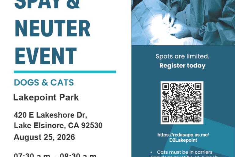 Spay Clinic