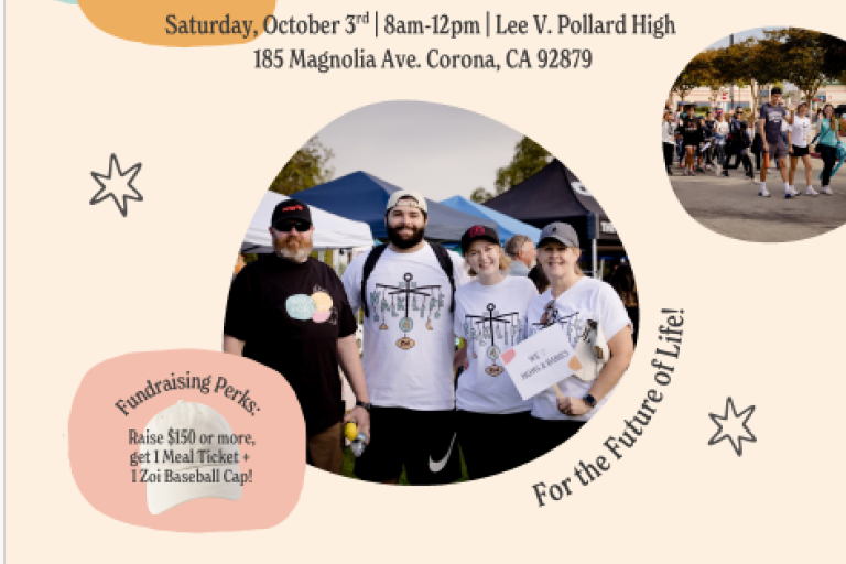 walk for life 