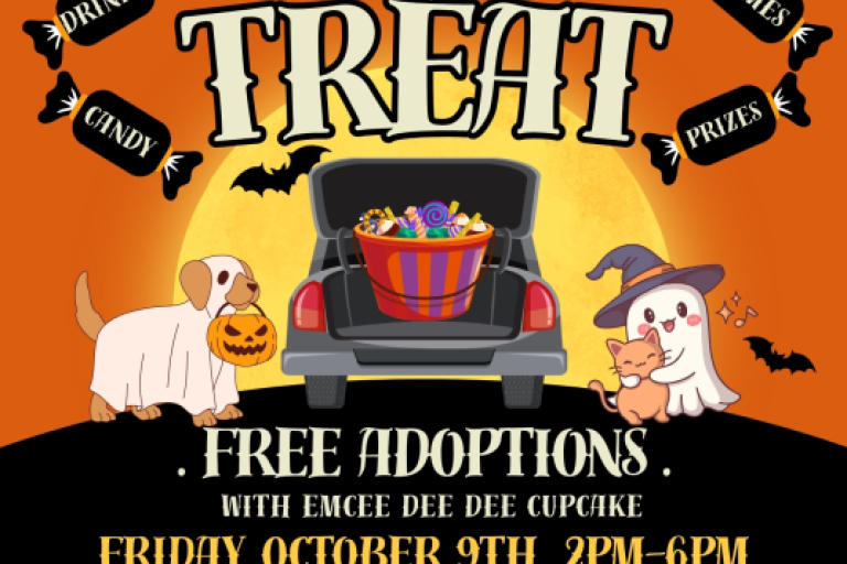 trunk or treat 