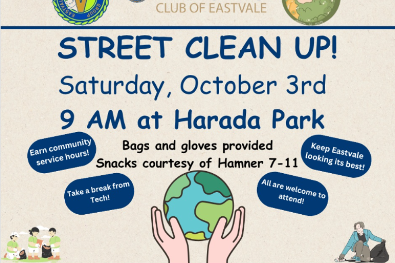 street clean up
