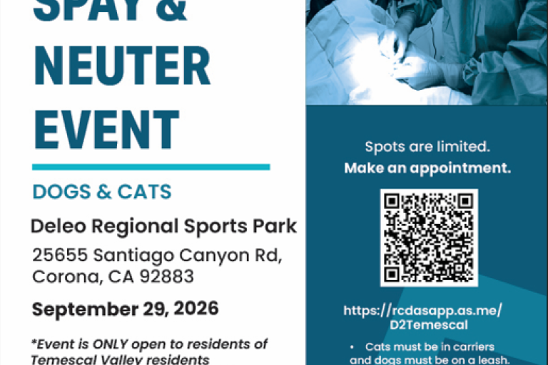 free spay and neuter