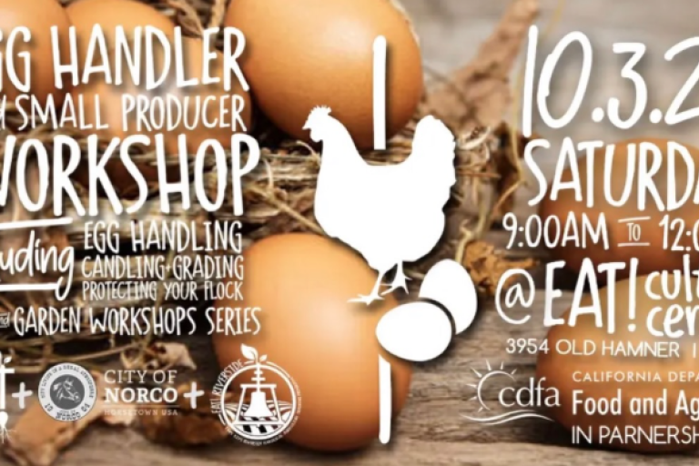 eggs and produce 