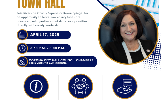 District 2 Budget Town Hall 2025