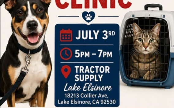 Lake Elsinore Free microchip clinic 
