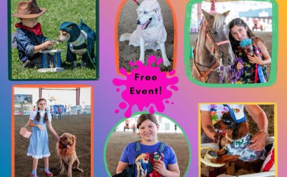 Norco Fair Pet Parade