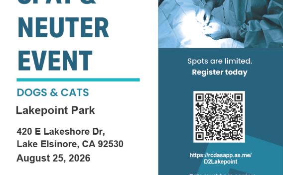Spay Clinic