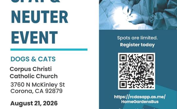 neuter and spay event 