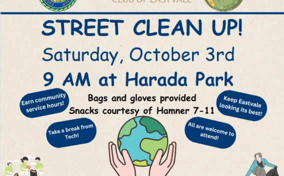 street clean up