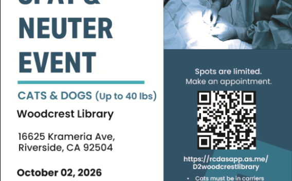 free spay and neuter