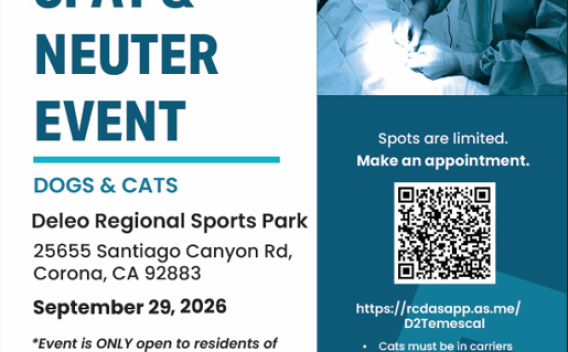 free spay and neuter
