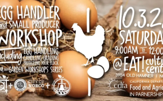 eggs and produce 