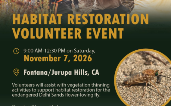 habitat jurupa 