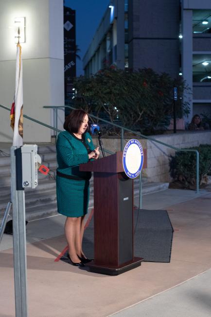Supervisor Spiegel Organizes Lighting the Building Green for Veterans