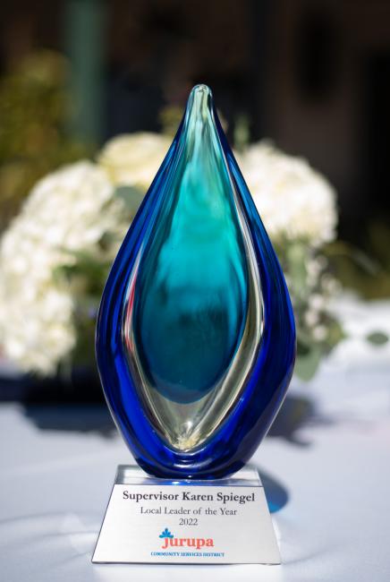 Spiegel Award