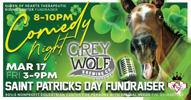 Saint Patrick's Day Fundraiser