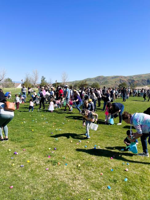 Spring Festival