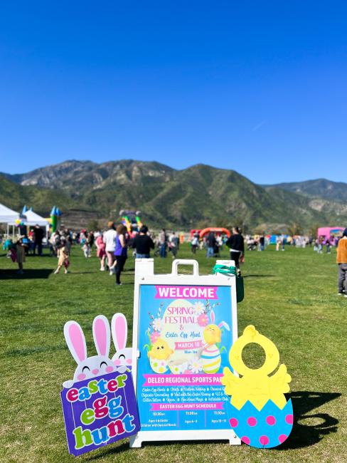 The Spring Festival Event board