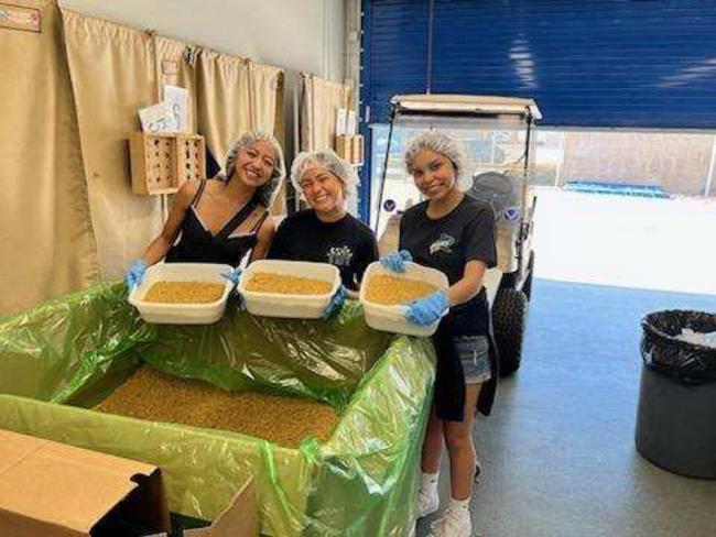Rotary Clubs Volunteer Effort