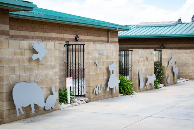 Riverside County Animal Shelter