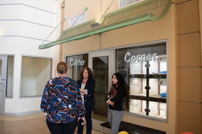 Riverside County Animal Shelter