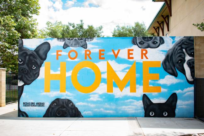 Riverside County Animal Shelter