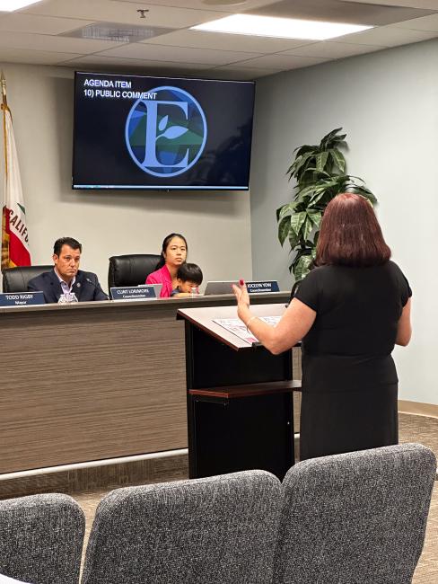 Eastvale City Council