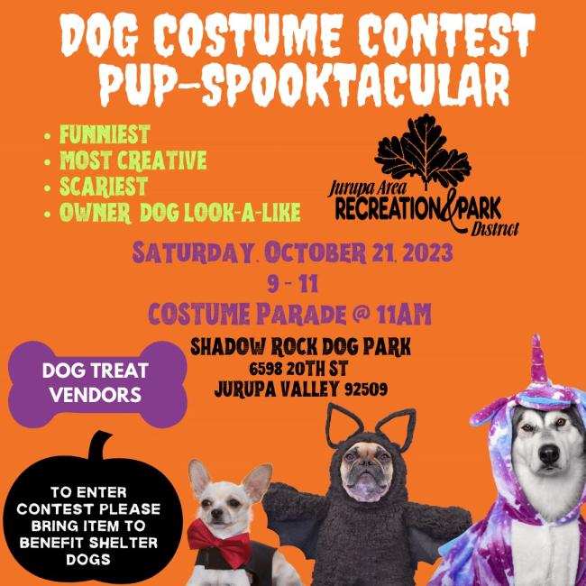 Dog Costume Contest