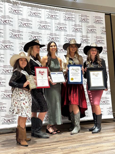Norco Chamber Installation