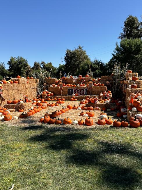 Eastvale Fall Festival