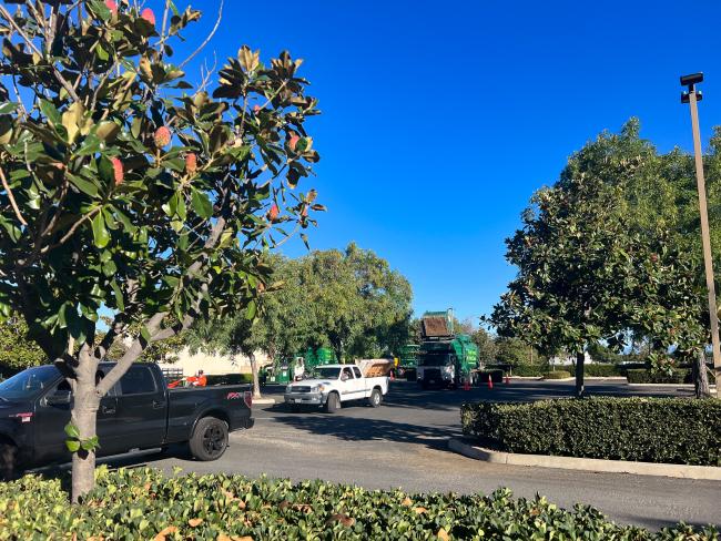 Woodcrest Community Clean Up