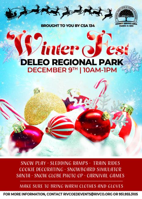 Winter Fest Deleo Park