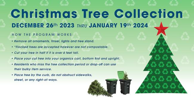Christmas Tree Collection - Lake Elsinore