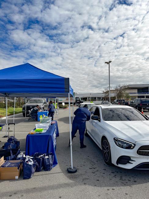 First 5 Car Seat Distribution