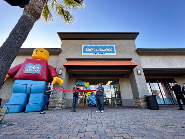 Bricks and Minifigs