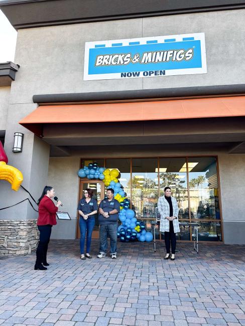 Bricks and Minifigs