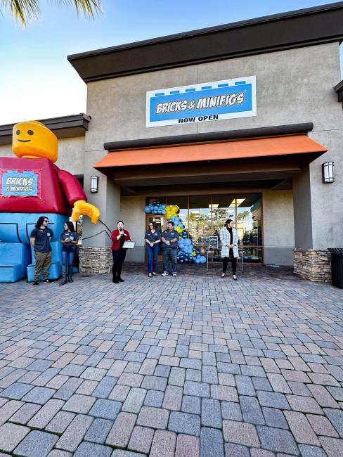 Bricks and Minifigs