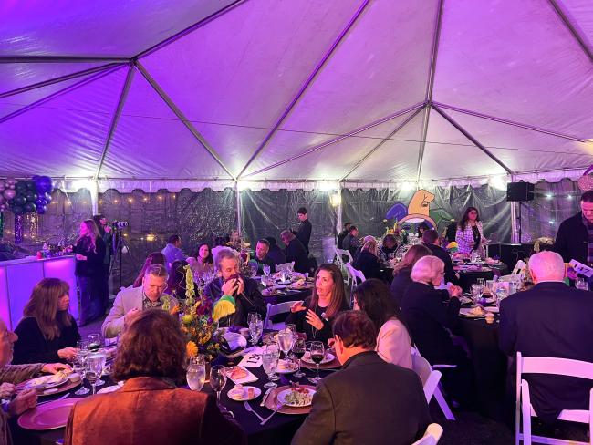 Annual Mardi Gras Fundraiser for SAFE Family Justice Center